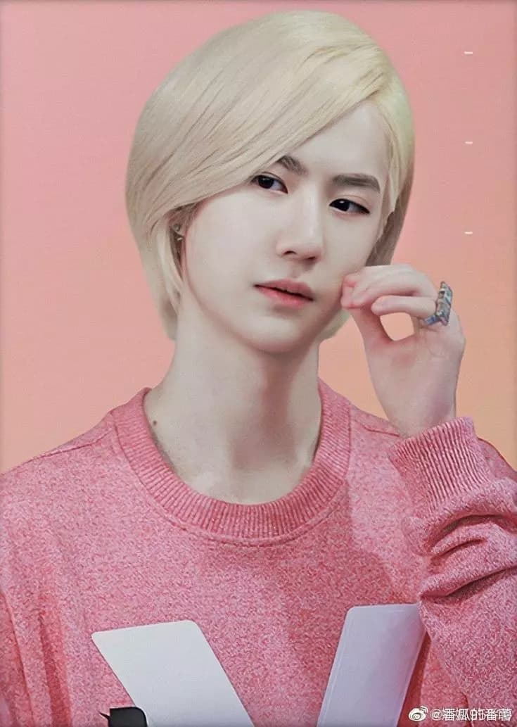 Wang Yib 🪷 thumbnail