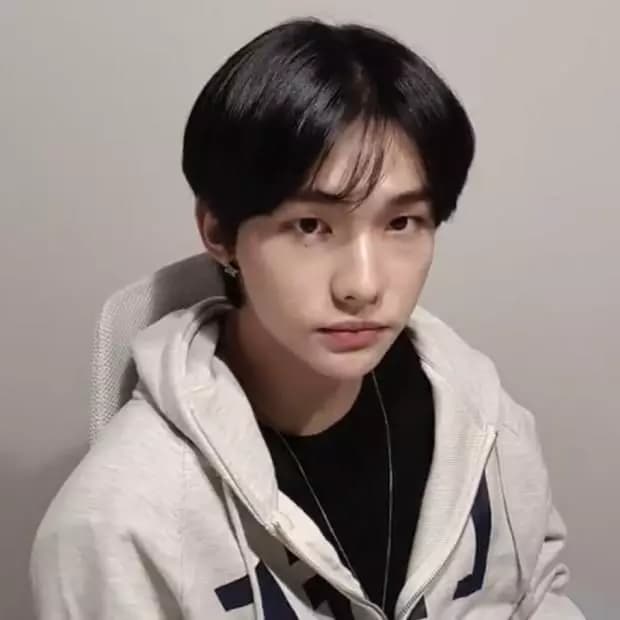 ☧ Hwang Hyunjin. thumbnail