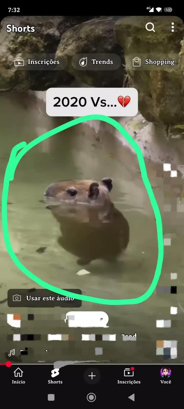 Blossick thumbnail