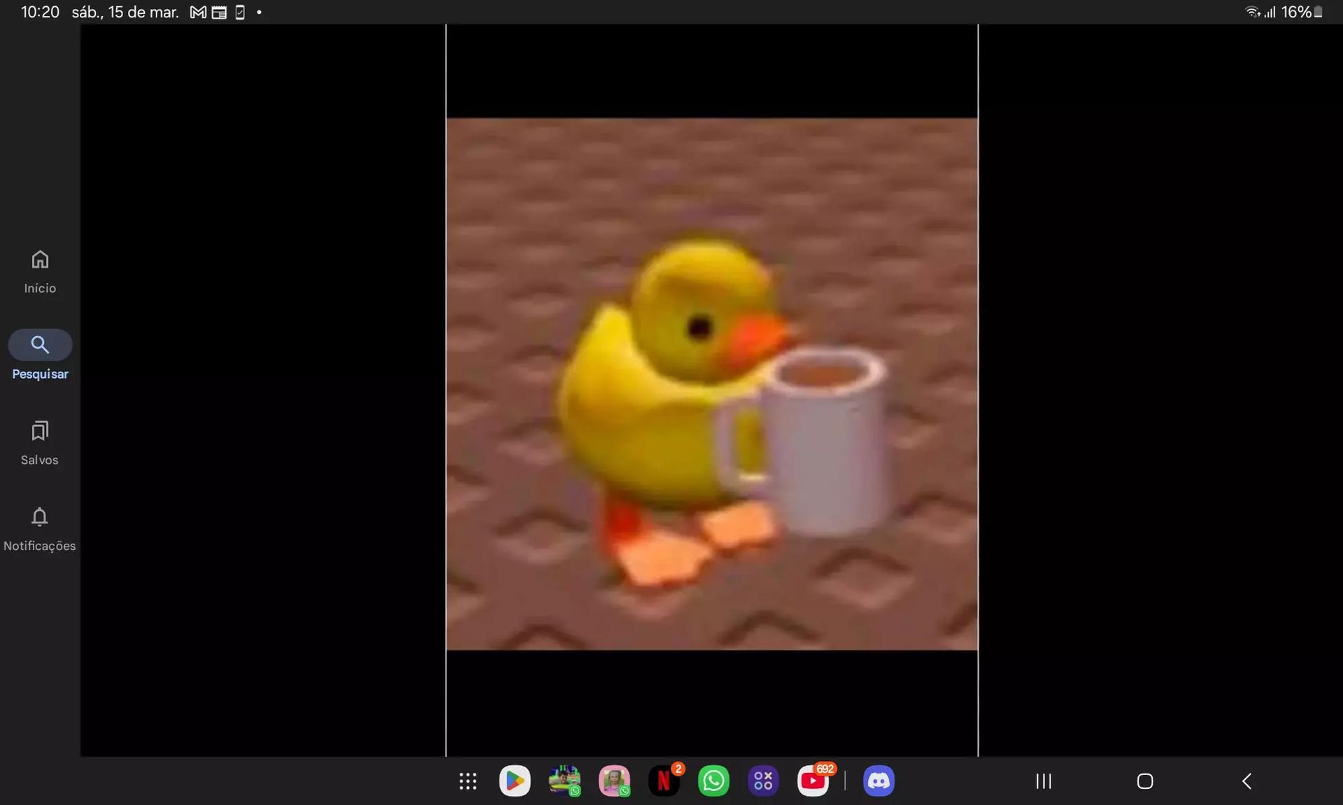 Pato thumbnail