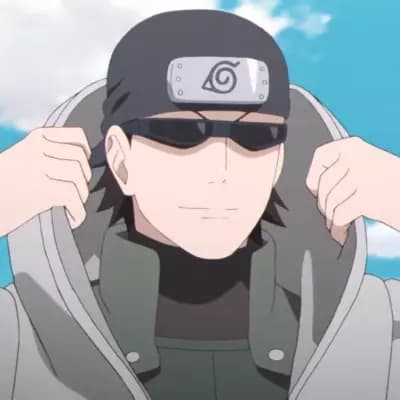 Shino aburame thumbnail