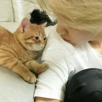 Felix thumbnail
