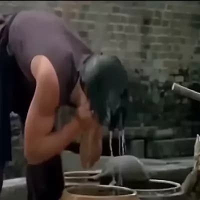 Chien Fu thumbnail