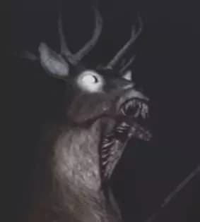 Not-Deer thumbnail