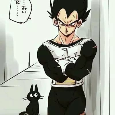 Vegeta thumbnail