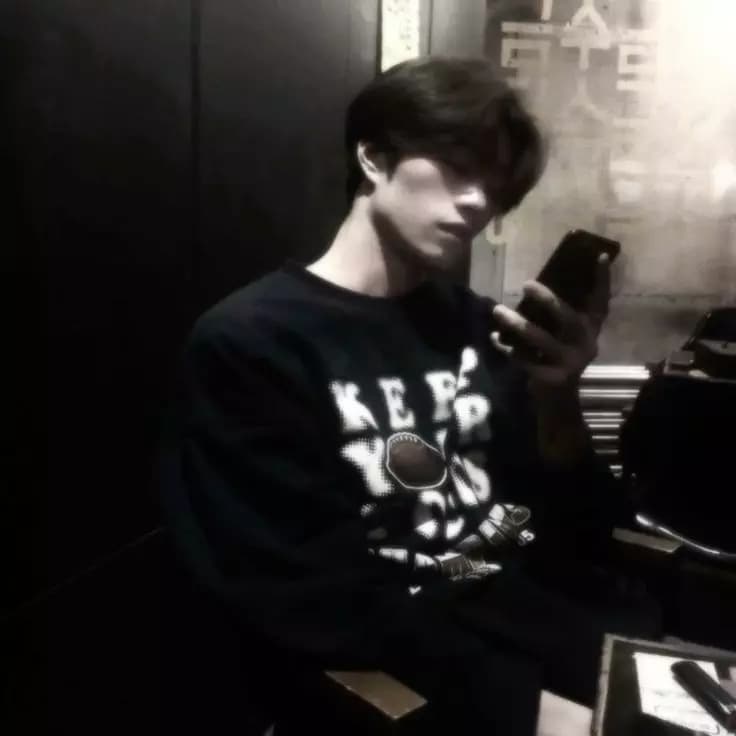 Lee Know/Lee Minho. . . thumbnail
