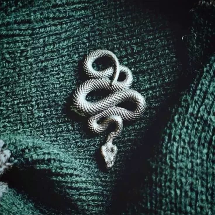 Slytherin boys  thumbnail