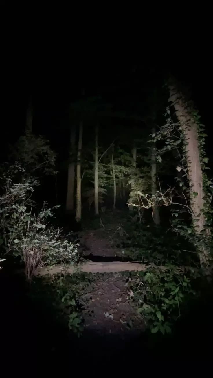 dark forest rpg thumbnail