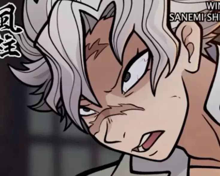Sanemi Shinazugawa (Hashira's fucking arc) thumbnail