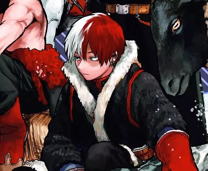 Shoto Todoroki thumbnail
