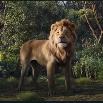 Simba ( el Rey Leon ) thumbnail