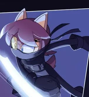 Sally acorn ninjia  thumbnail