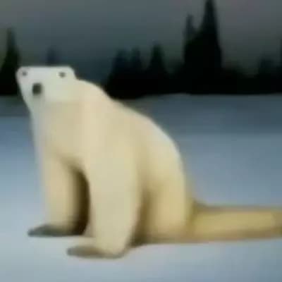 Bear from 2026 thumbnail