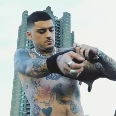 Zayn Malik thumbnail