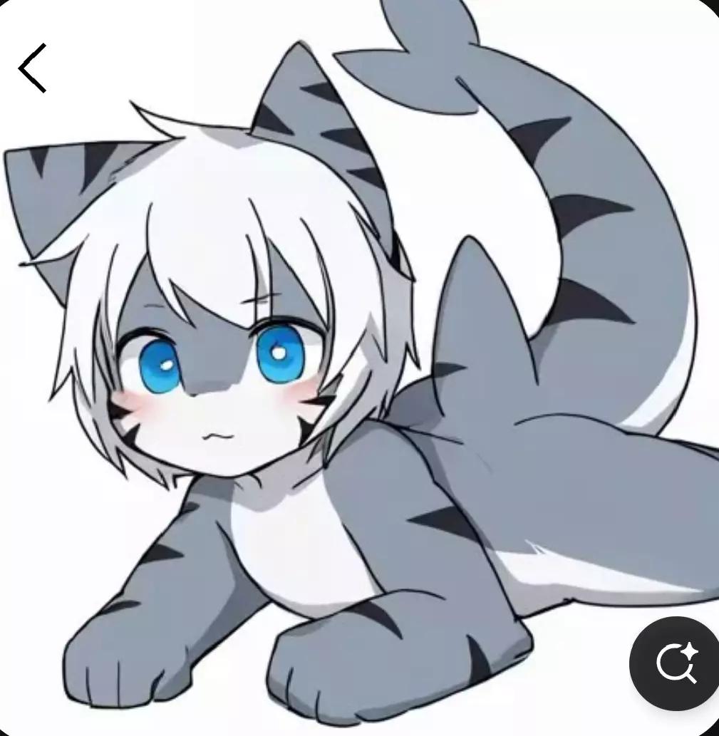 Furri shark thumbnail