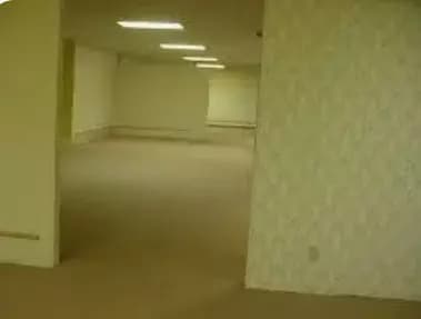 The backrooms thumbnail
