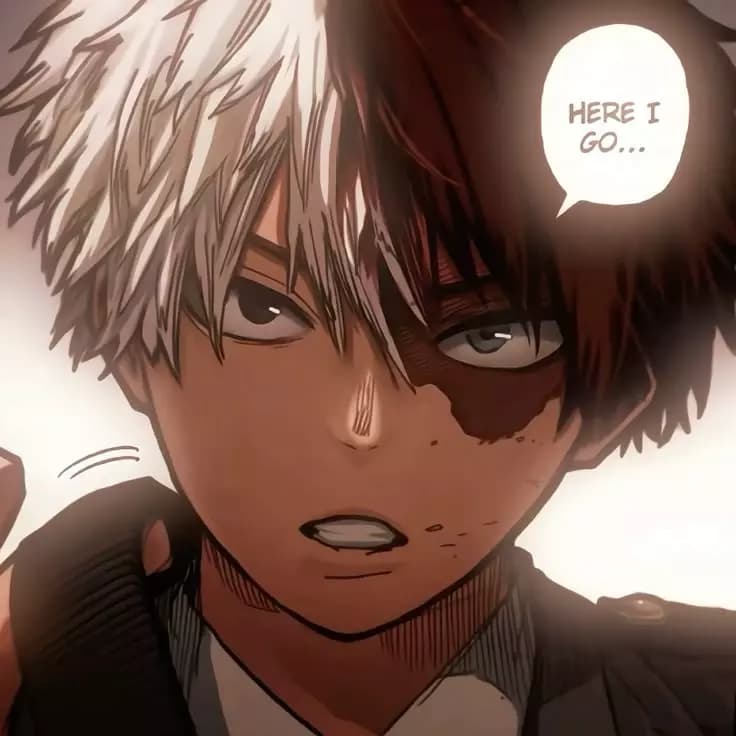 Shoto Todoroki thumbnail