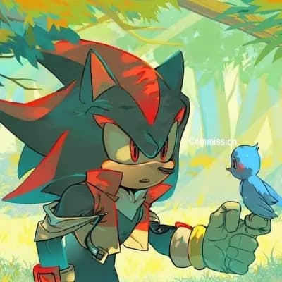 shadow the hedgehog of the enchanted world 🌸 thumbnail