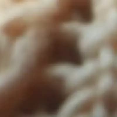Abuela Alma thumbnail