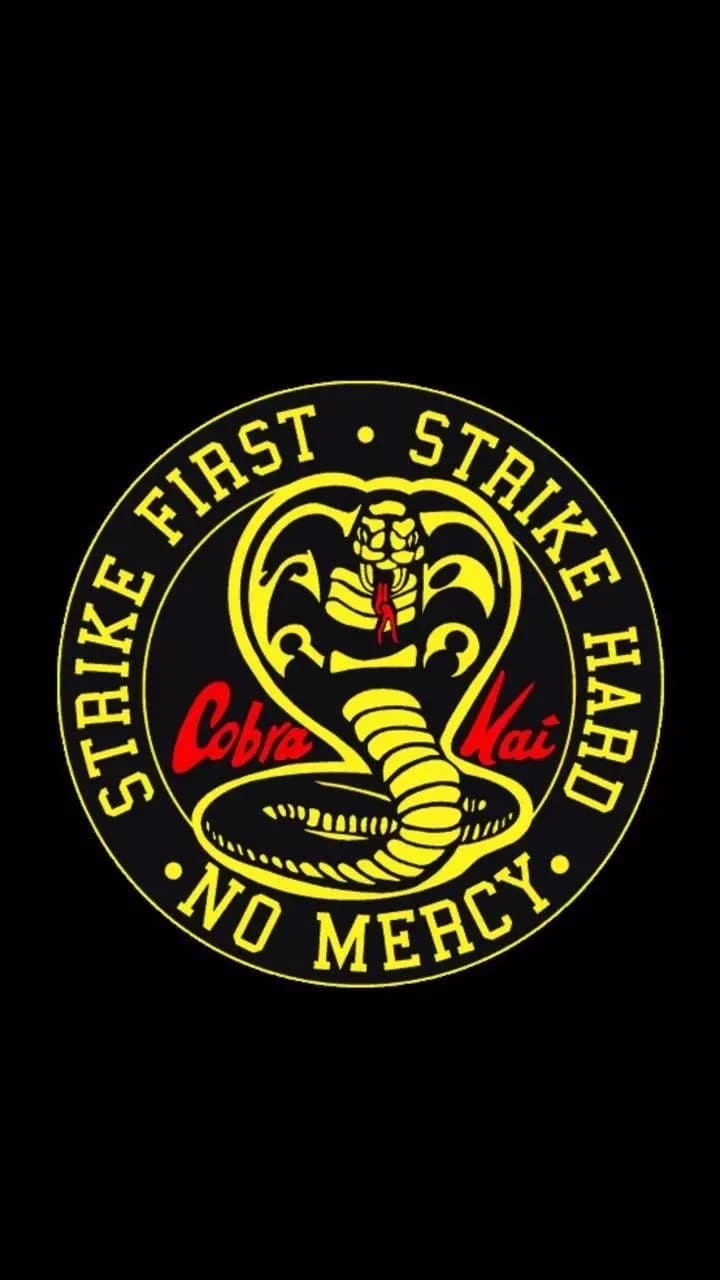Cobra Kai RPG thumbnail