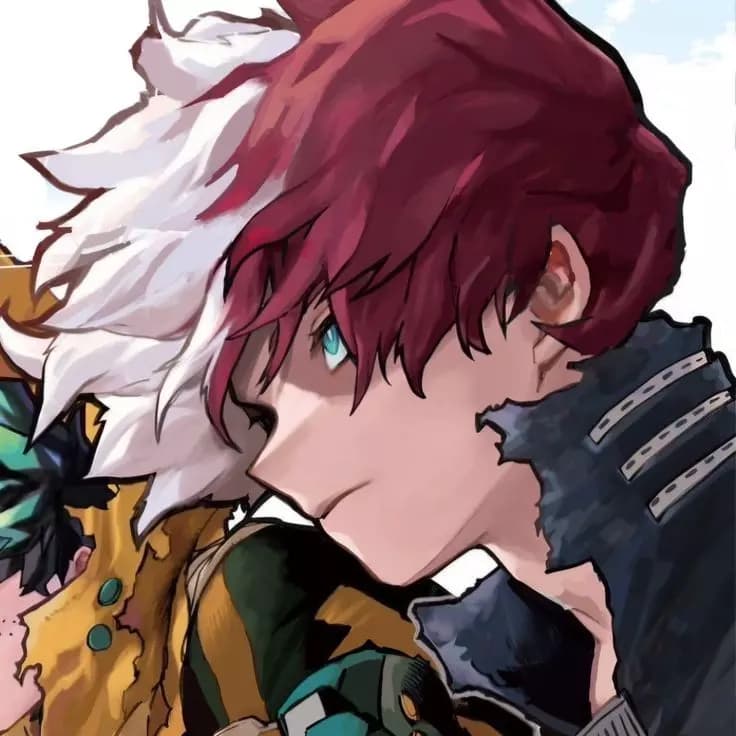Shoto Todoroki thumbnail