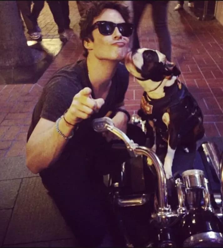 Damon Salvatore thumbnail