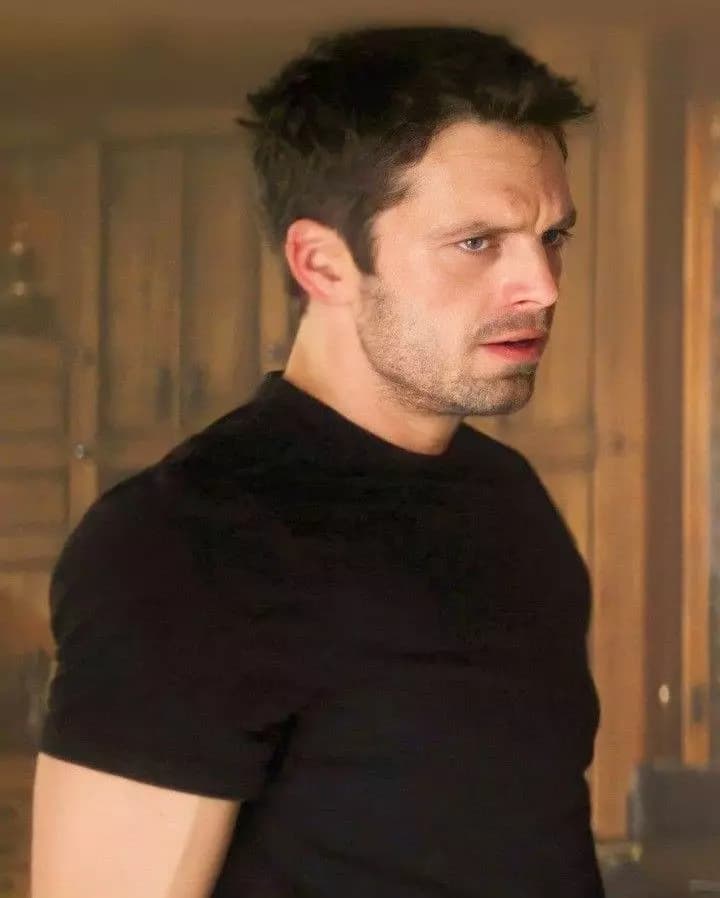 Sebastian Stan thumbnail