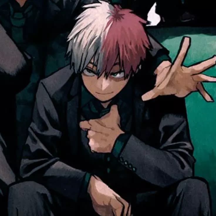 Shoto Todoroki thumbnail