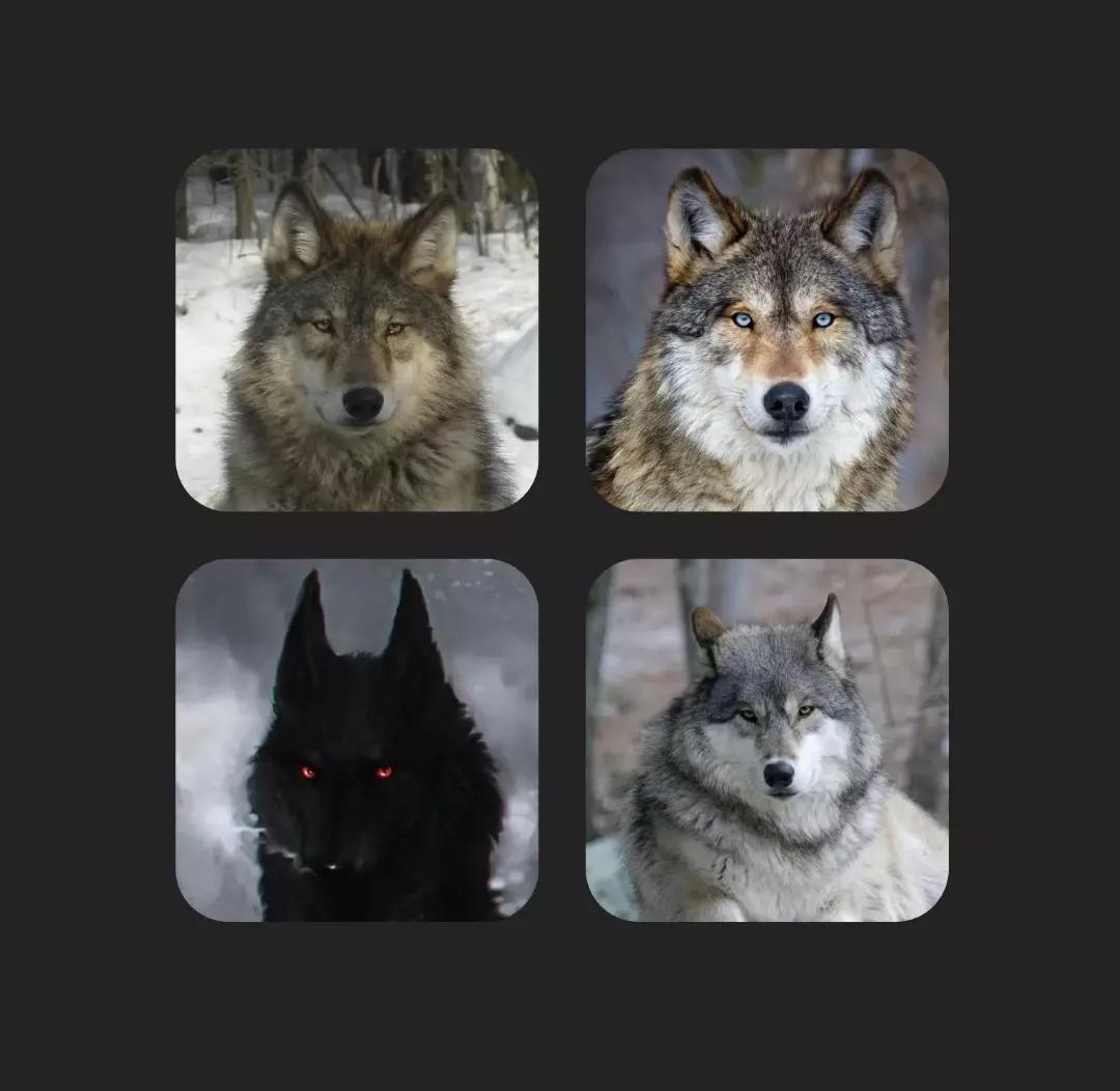 Dusk, Drake, Scar e Max. thumbnail