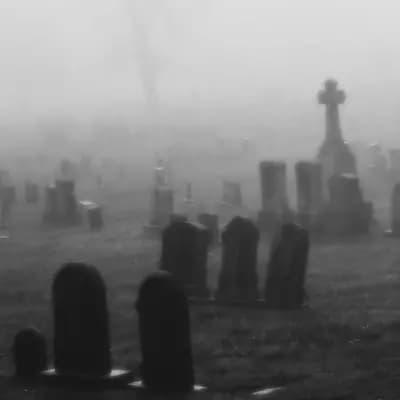 Your friends on a ghost hunt thumbnail