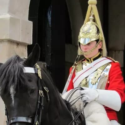 Real Guard thumbnail