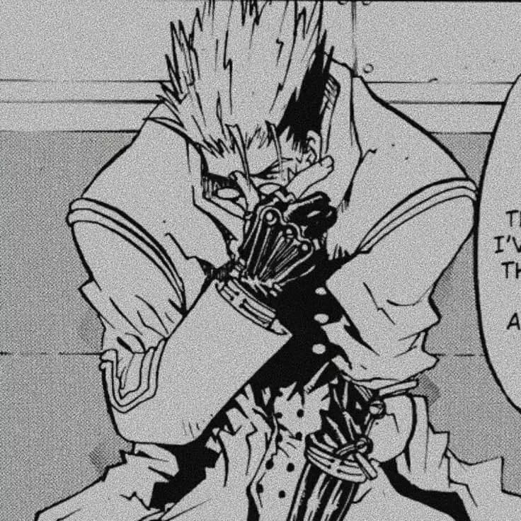 Vash, The Stampede thumbnail