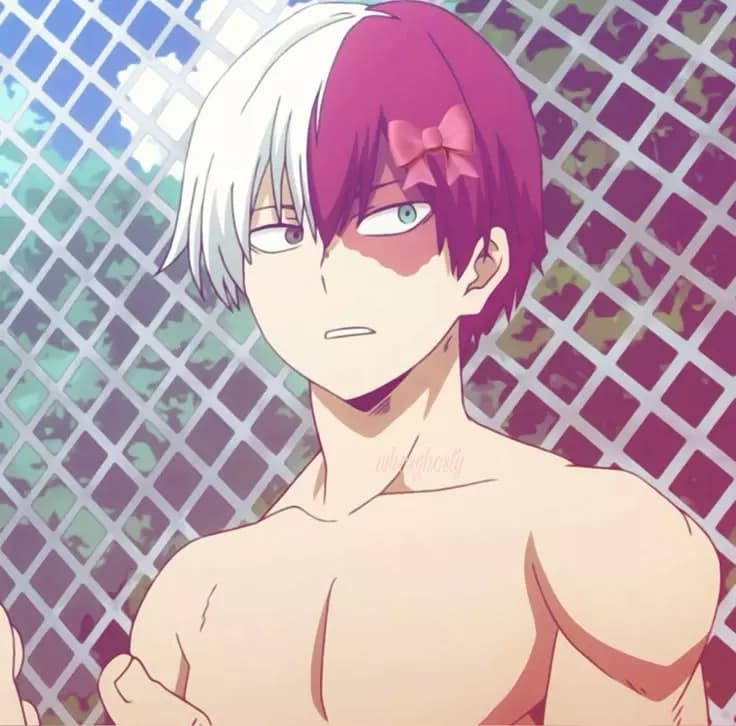 Todoroki thumbnail