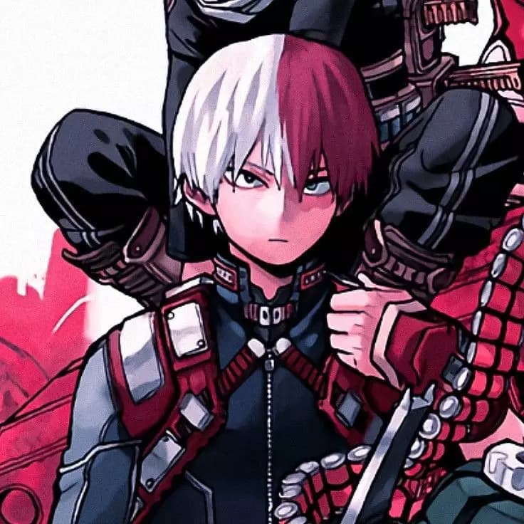 Shoto Todoroki thumbnail