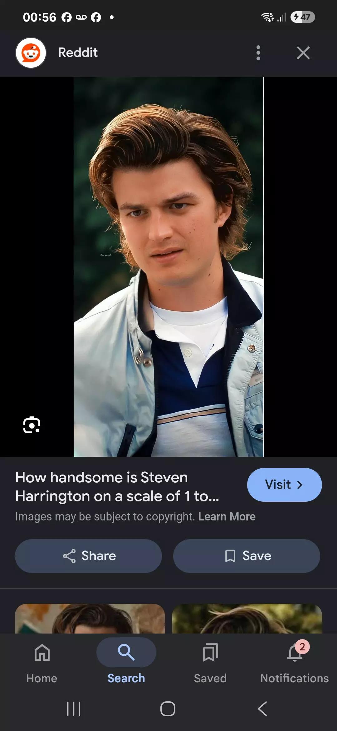Steve Harrington thumbnail