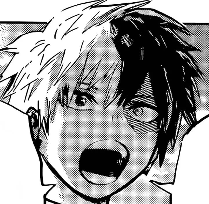 Shoto Todoroki thumbnail