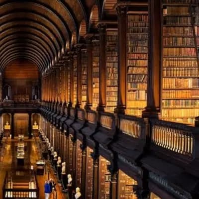bl | Library, you are an employee +18! thumbnail