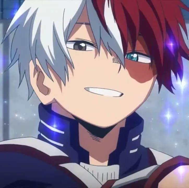 Todoroki Shoto thumbnail
