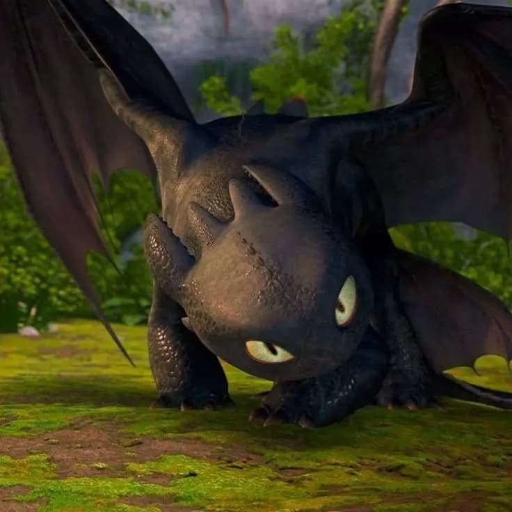 Toothless thumbnail