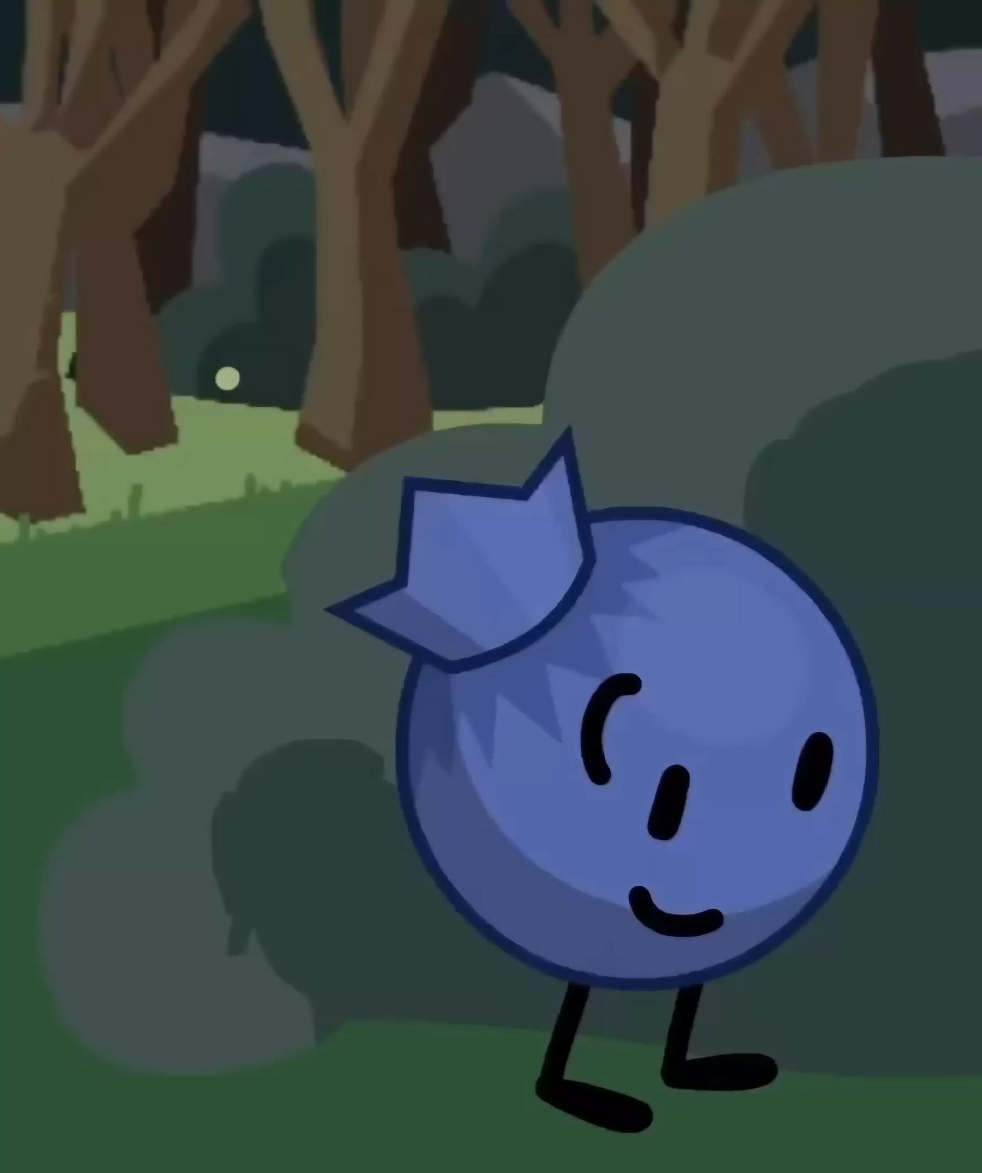 Blueberry thumbnail