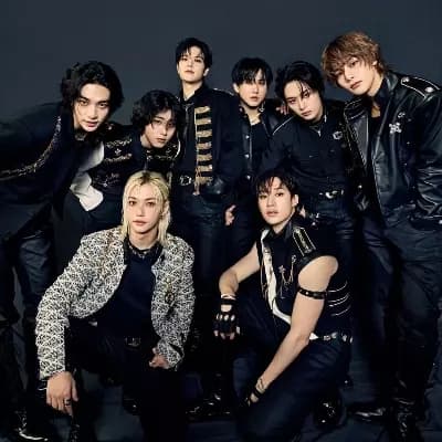 Stray kids  thumbnail