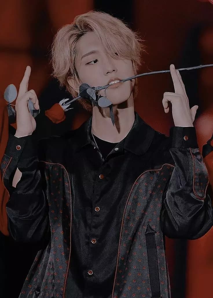 Han Jisung thumbnail