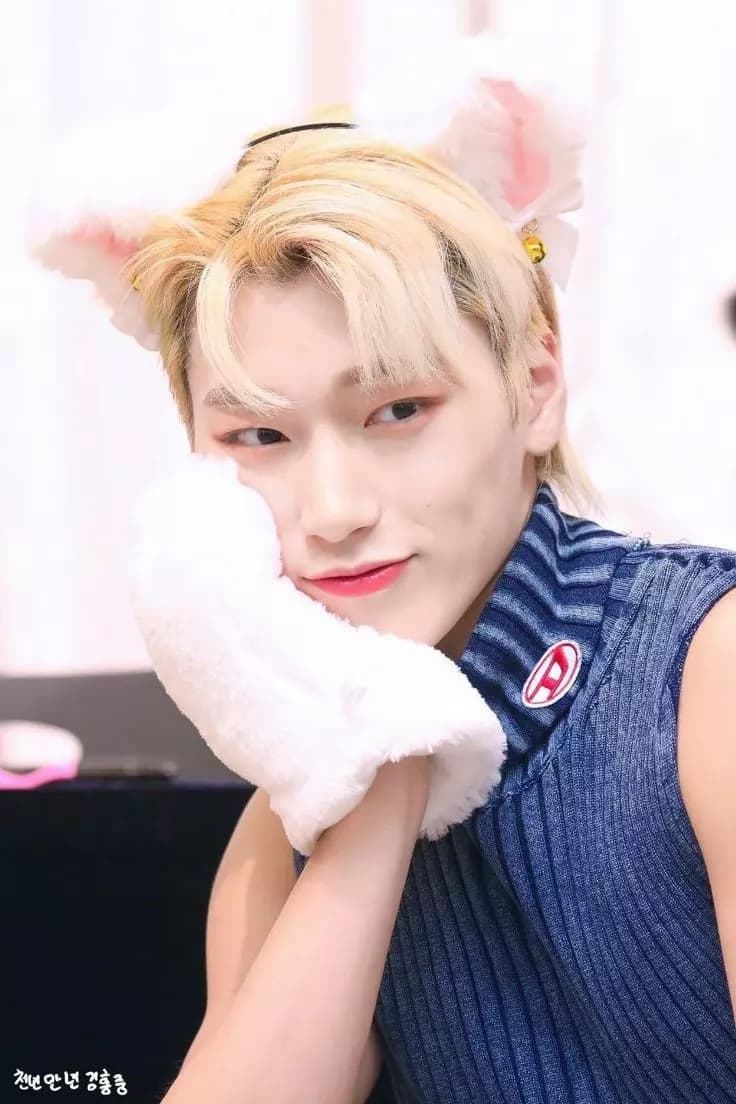 cat San thumbnail