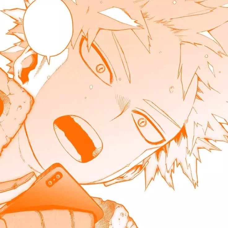 Katsuki Bakugo y Shoto todoroki thumbnail