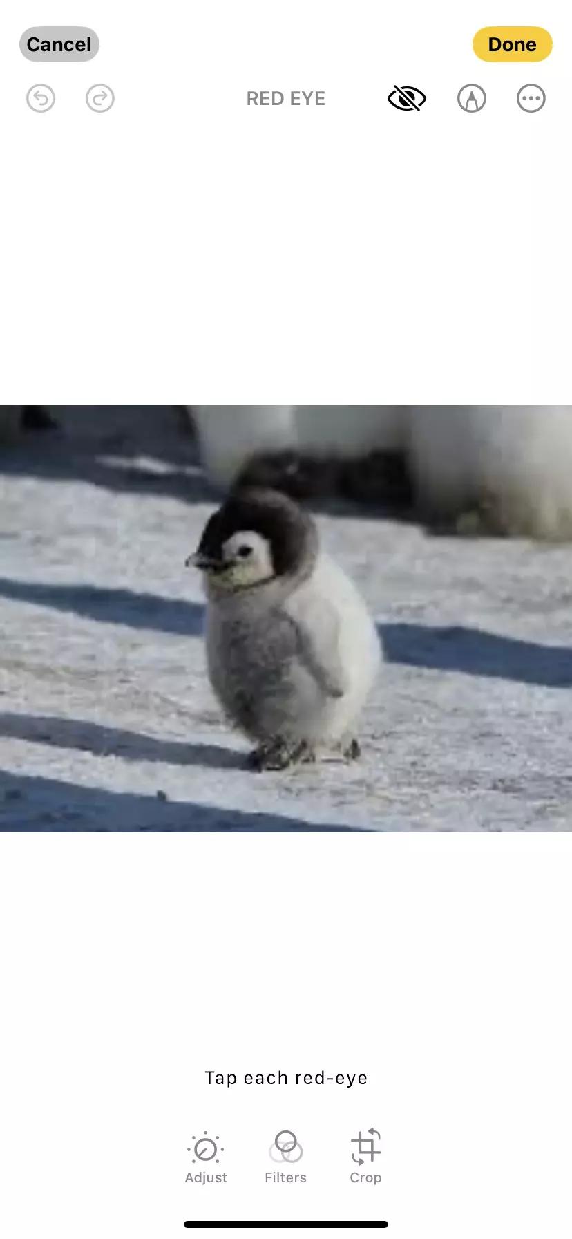 Chonky thumbnail