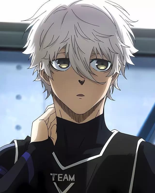 Seishirō Nagi thumbnail