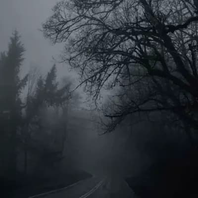 Schlatt thumbnail