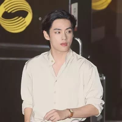 Kim Tae-hyung (V) thumbnail