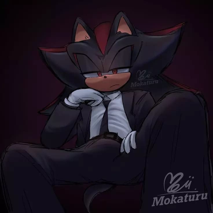 Shadow el erizo  thumbnail