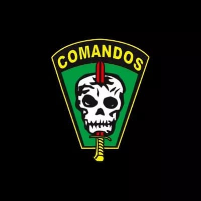 Command Action Course thumbnail